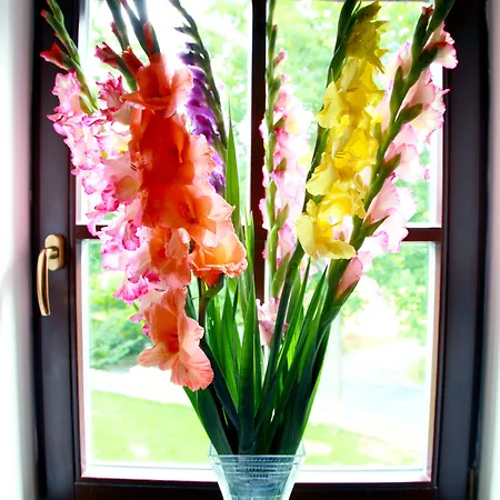 Rozmaryn & Gourmet 3* Mariánské Lázně