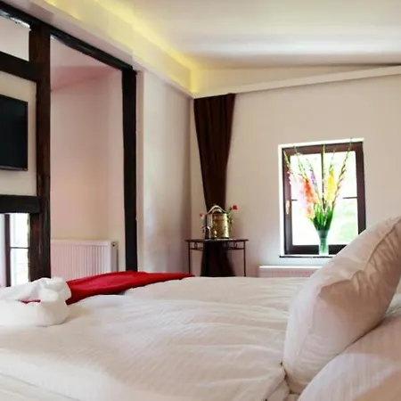 Ξενοδοχείο Rozmaryn & Gourmet Mariánské Lázně