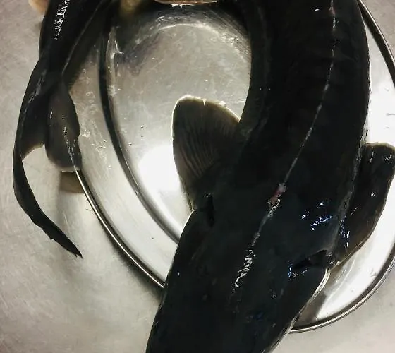 Hotel Rozmaryn & Gourmet