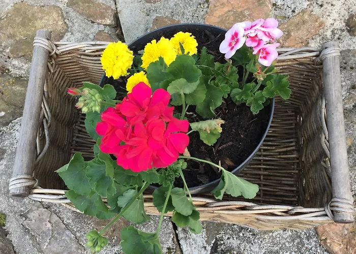 Rozmaryn & Gourmet 3* Mariánské Lázně