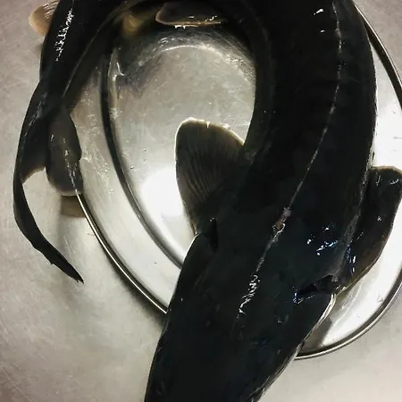 Готель Rozmaryn & Gourmet