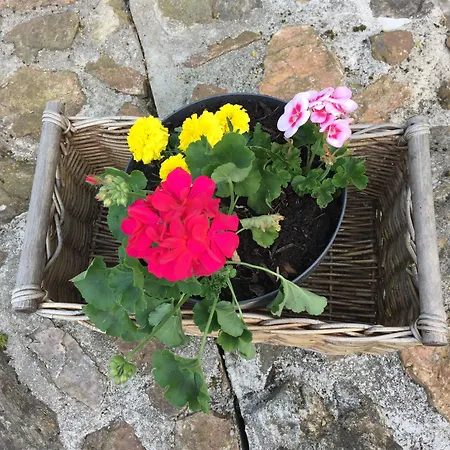 Rozmaryn Villa & Gourmet 3* Marianske Lazne