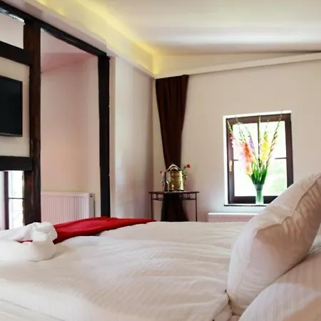 Hotel Rozmaryn Villa & Gourmet 3*