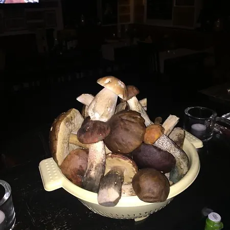 Готель Rozmaryn & Gourmet 3*