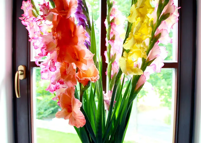 Rozmaryn Villa & Gourmet 3* Marianske Lazne