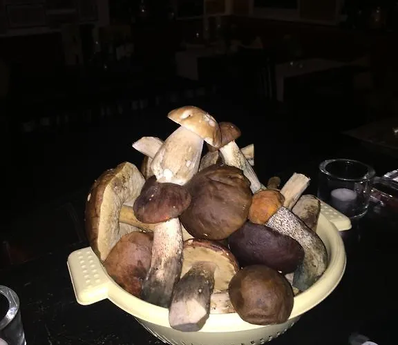 Hotel Rozmaryn Villa & Gourmet 3*